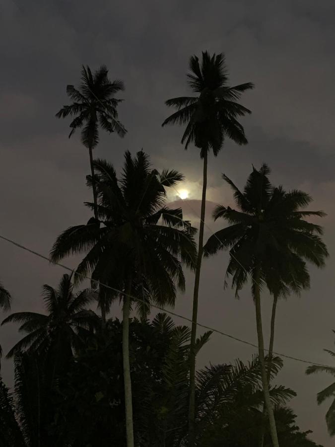 Sabaya Homestay Balik Pulau Kültér fotó